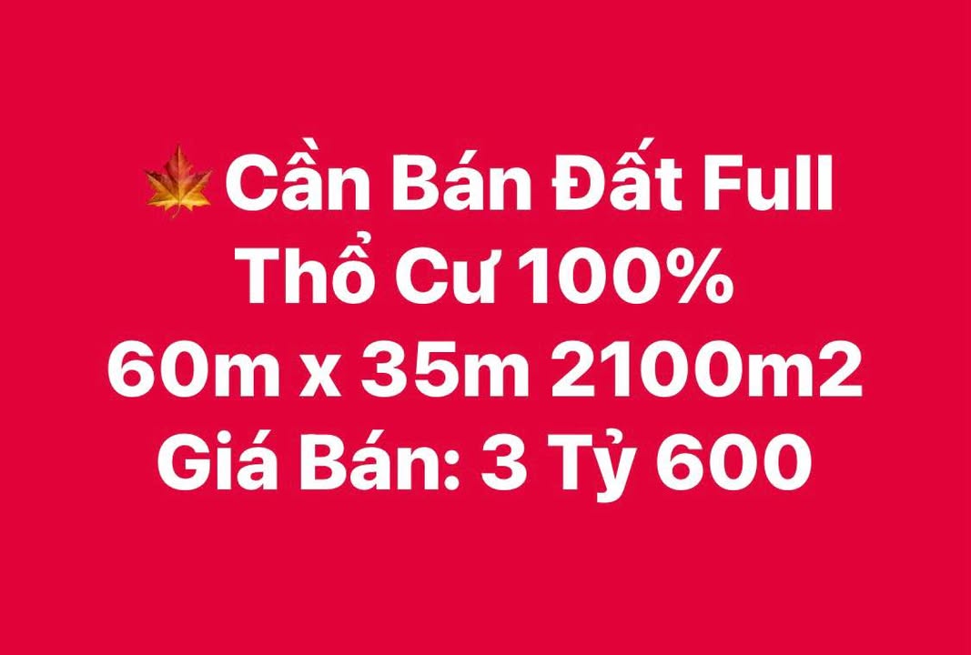 Đất Vàng Đắk Lắk 2100m² - Sổ Đỏ Thổ Cư 100% - Ngay Đường Hồ Chí Minh