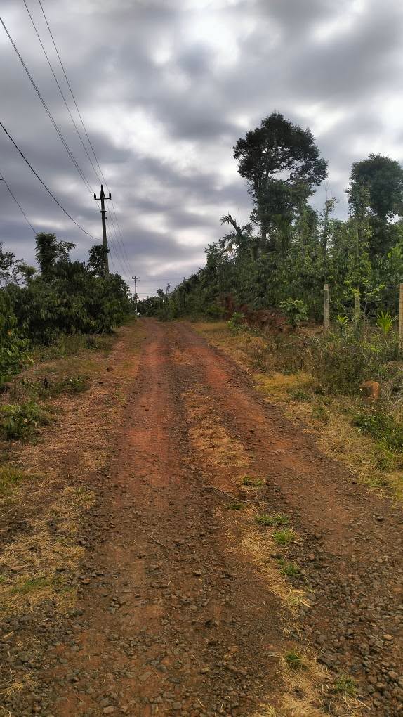 Bán Đất Buôn Ma Thuột 2000m² Sổ Đỏ Riêng - Đường Tỉnh Lộ 5