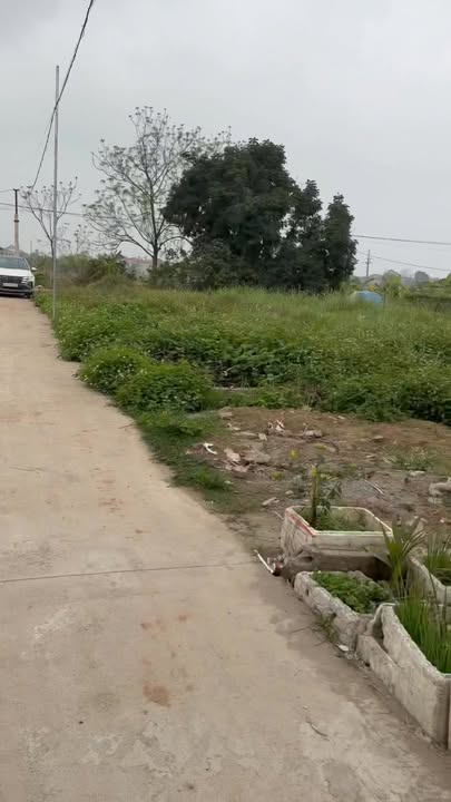 Đất nền Phúc Thọ 62m² - Sổ đỏ sẵn sàng, giá chỉ hơn 1 tỷ