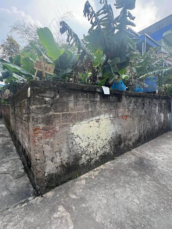 Đất nền Nam Định 110m² - Tiềm năng tăng giá vượt trội!