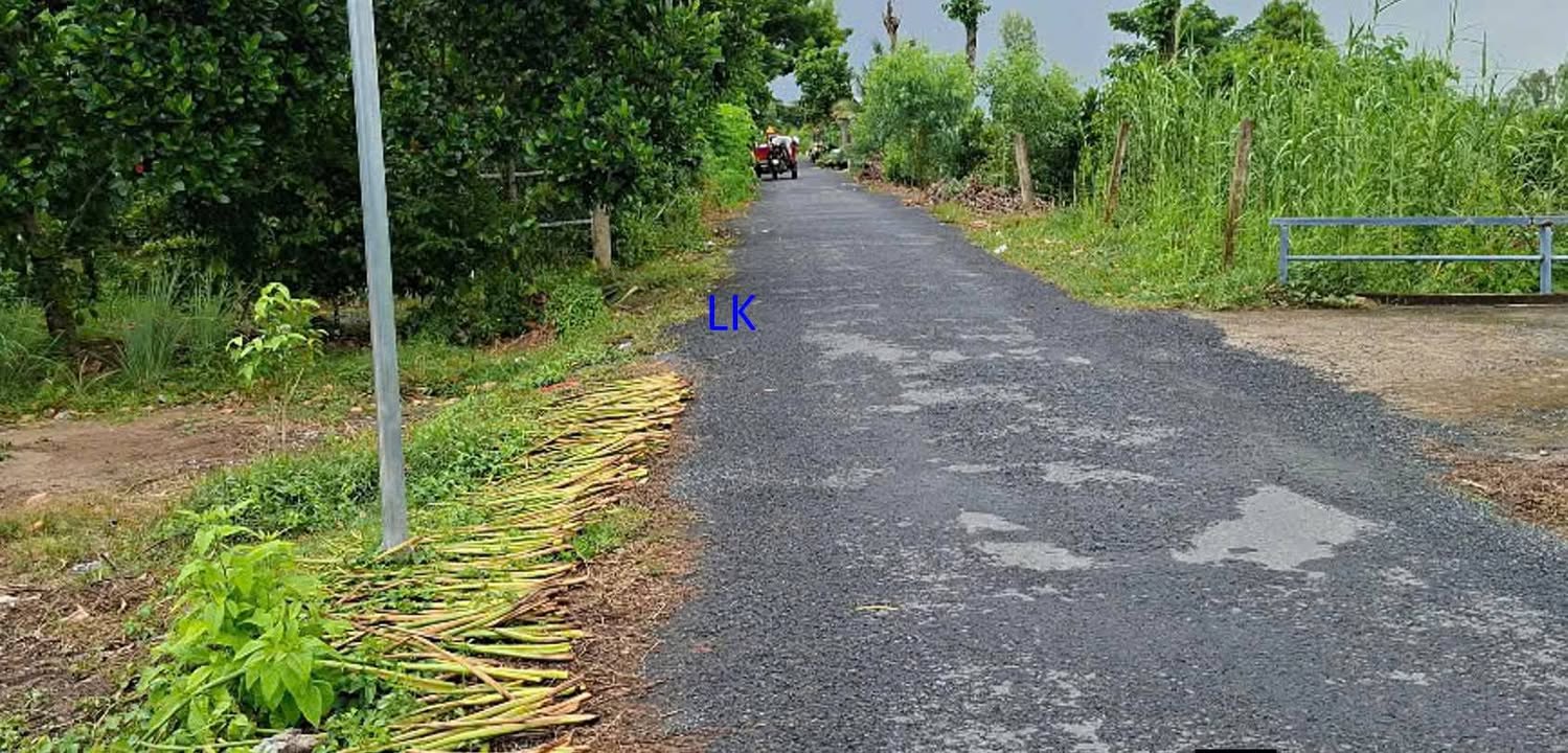 Đất Nền 300m² Sổ Hồng Thổ Cư - Xã Bình Hàng Tây, Cao Lãnh Giá Tốt