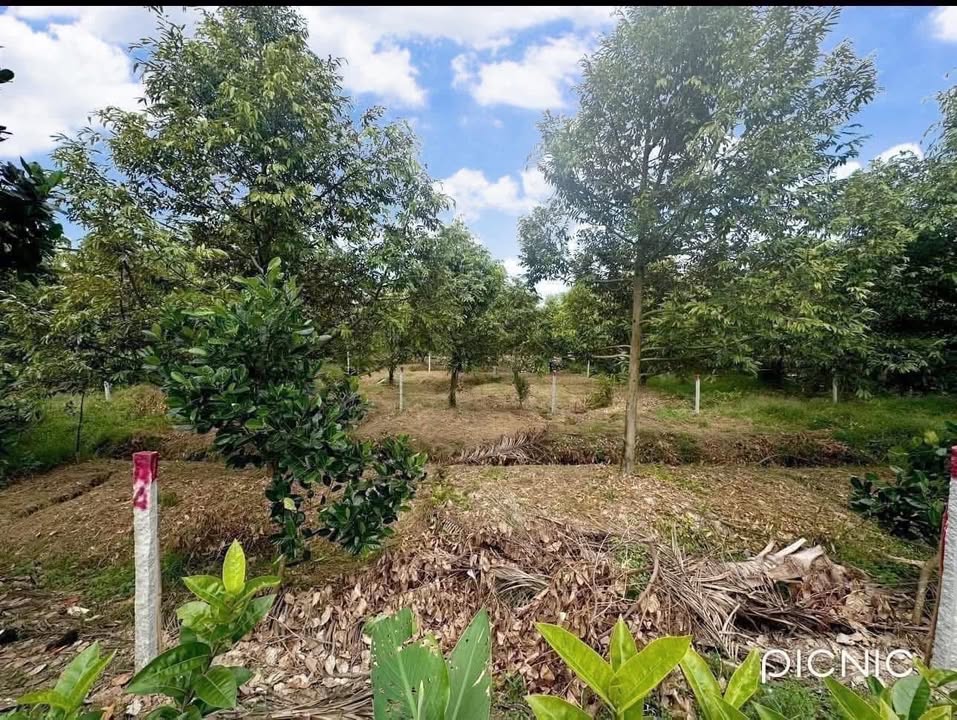 Đất Nền Vĩnh Long 170m² - Sổ Đỏ Sẵn, Giá Tốt Đầu Tư