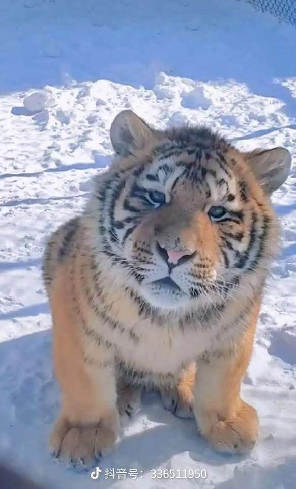 Bán đất thổ cư 150m² hẻm 104 Trần Văn Ơn, Pleiku - Hướng Tây, Sẵn Sổ