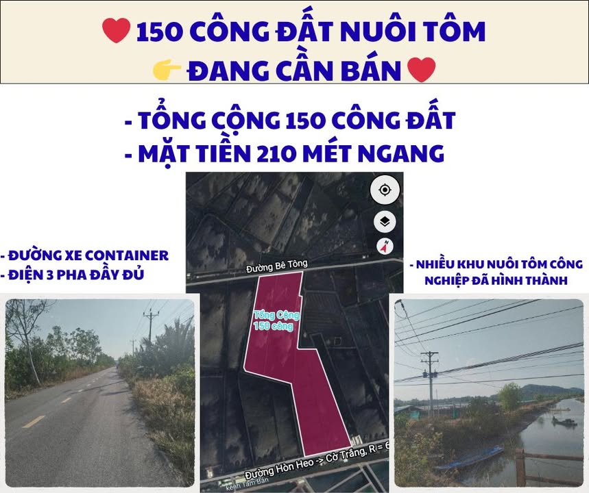 Đất Nền Phú Quốc 60.000m² - Sổ Đỏ, Đường Container - Giá Thỏa Thuận