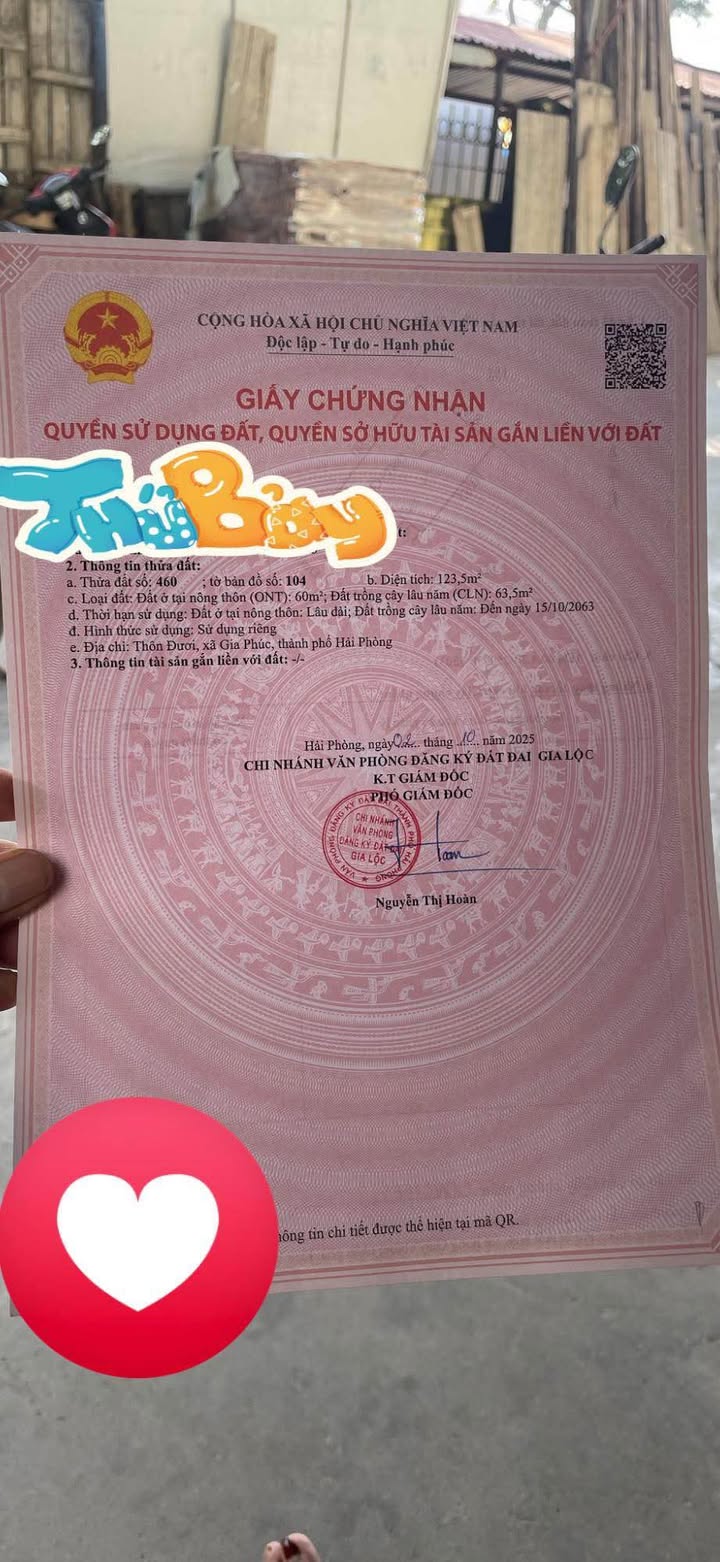 Đất nền Đoàn Thượng, Gia Lộc 124m² - Tiềm năng tăng giá!