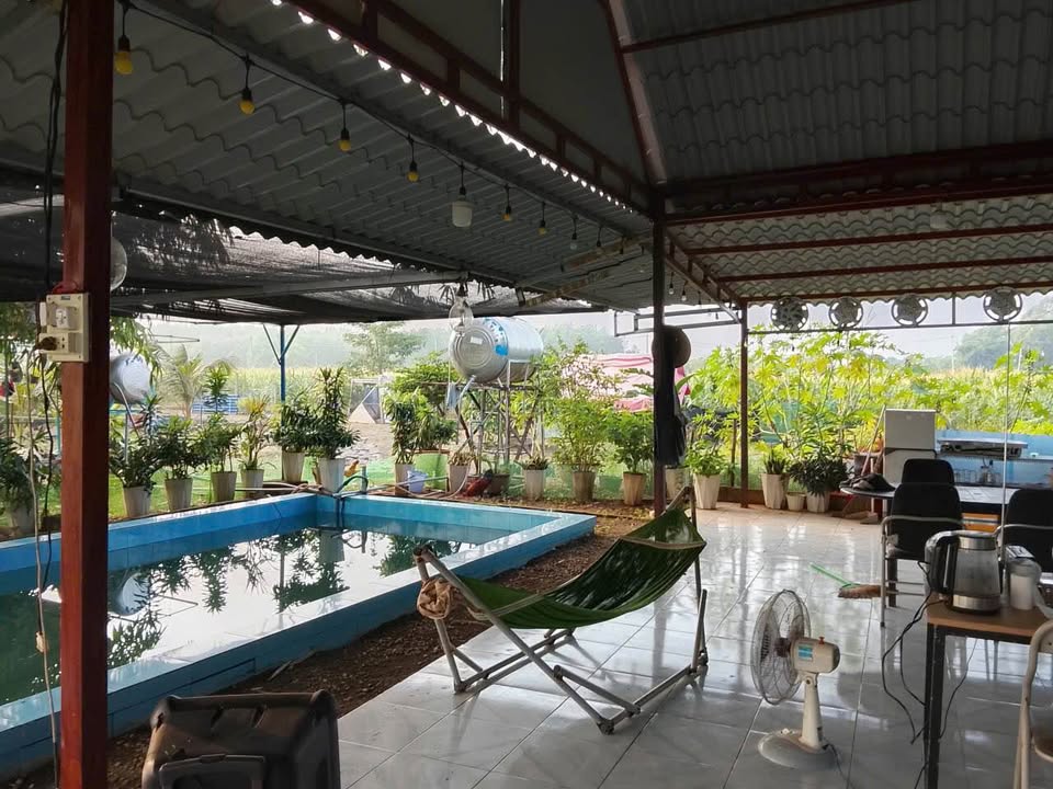 Bán Gấp Đất Vườn Nghỉ Dưỡng 1500m² Xuyên Mộc - Sổ Đỏ, Ô Tô Tận Nơi