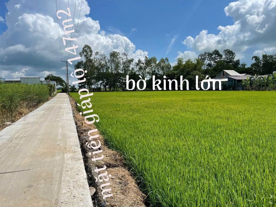 Farm Phú Hiệp Phú Tân 10.229m² 2,76 tỷ - Sổ đỏ chính chủ