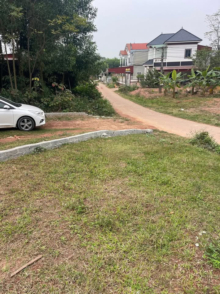 Bán đất 140m² Tân Đức, Phú Bình - Gần chợ, trường học, ô tô tránh