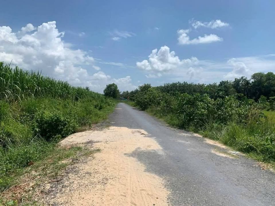 Đất nền Gò Dầu 220m² giá 550 triệu - Tiềm năng tăng giá cực lớn!