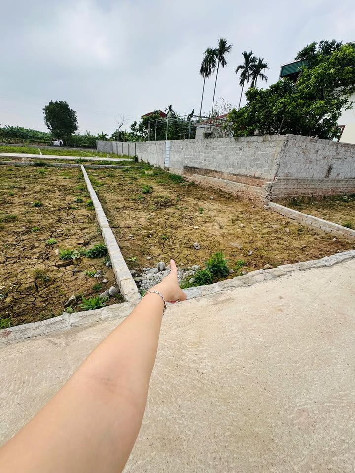 Đất Nền 80m² Phú Xuyên - Sổ Đỏ F0 Giá Tốt, Sẵn Sàng Đầu Tư