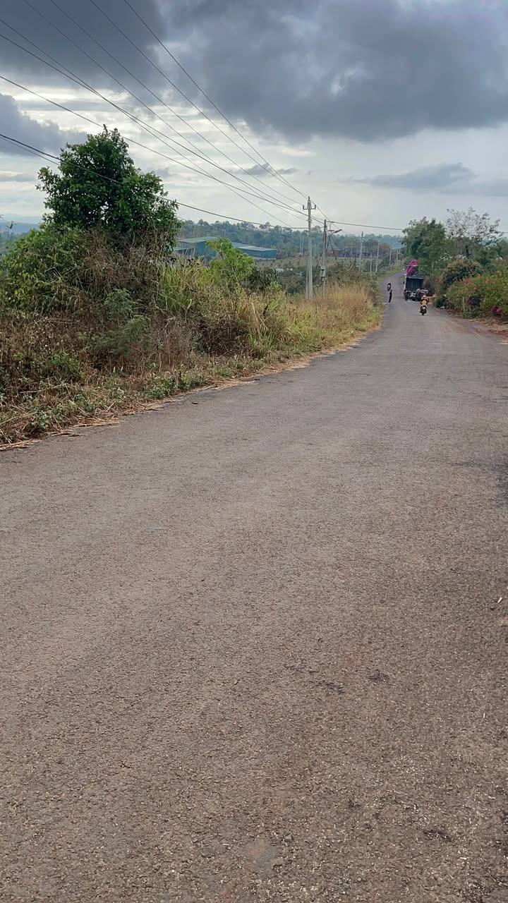 Bán Gấp Lô Rẫy 2160m² Ea Sin, Krông Búk - Mặt Tiền 84m Đường Nhựa, Kinh Doanh Cafe