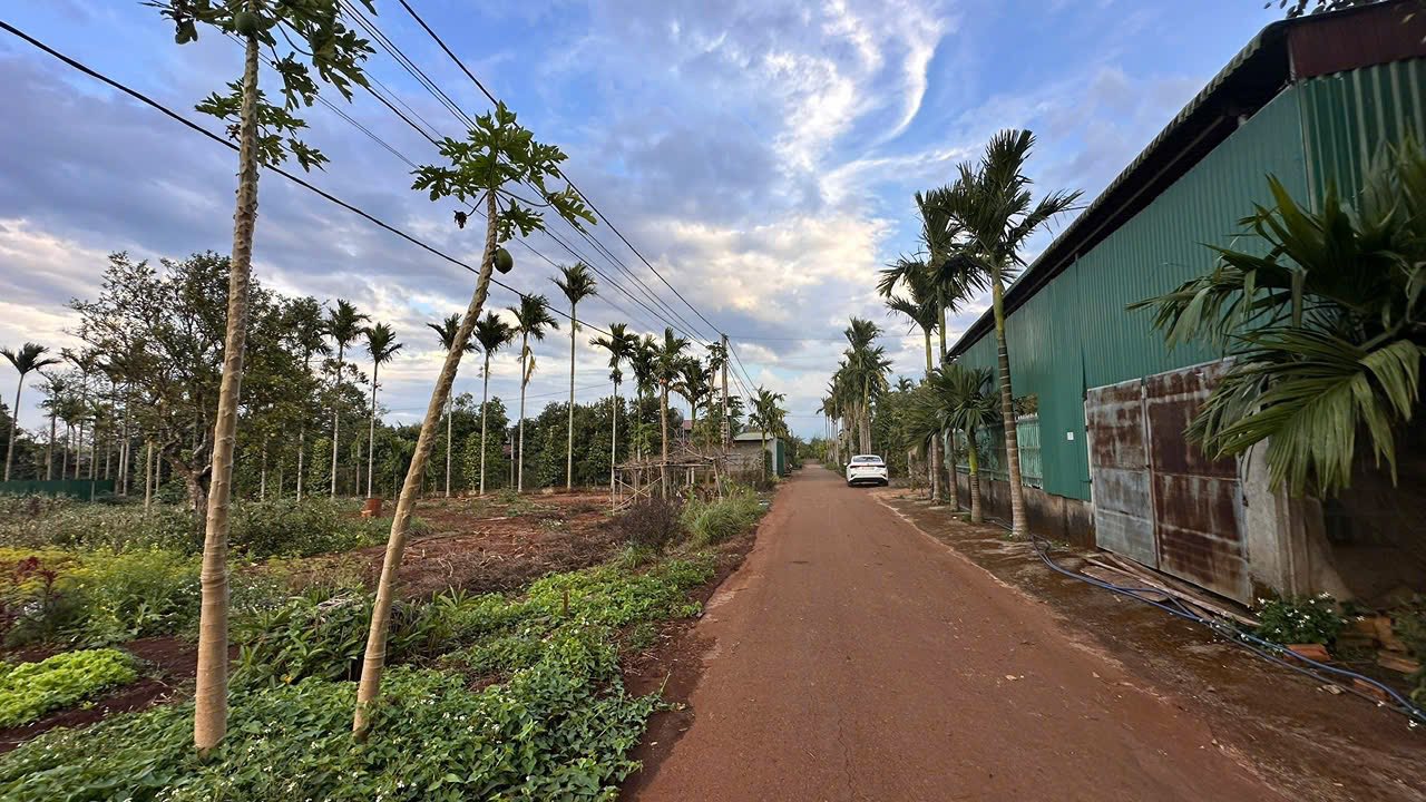 Đất nền Krông Pắc 270m² chỉ 1.1 tỷ - Tiềm năng tăng giá!