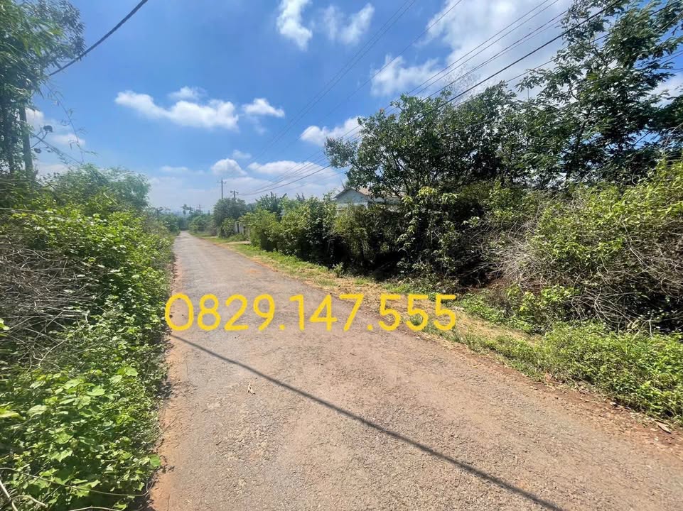 Đất Nền Komleo Krông Pắc 500m² - Sổ Đỏ ODT, Giá 2.29 Tỷ