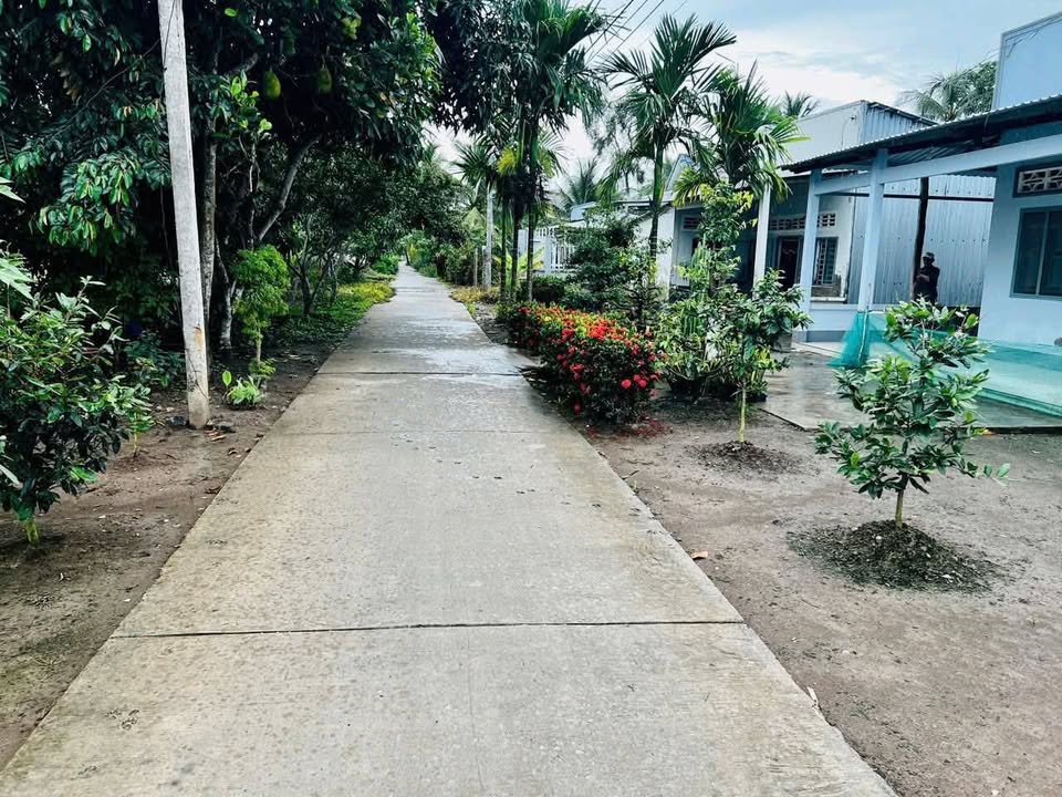 Đất Nền Mỹ Tú, Sóc Trăng - 145m² Gần Chợ, Sẵn Sổ Đồng Sở Hữu