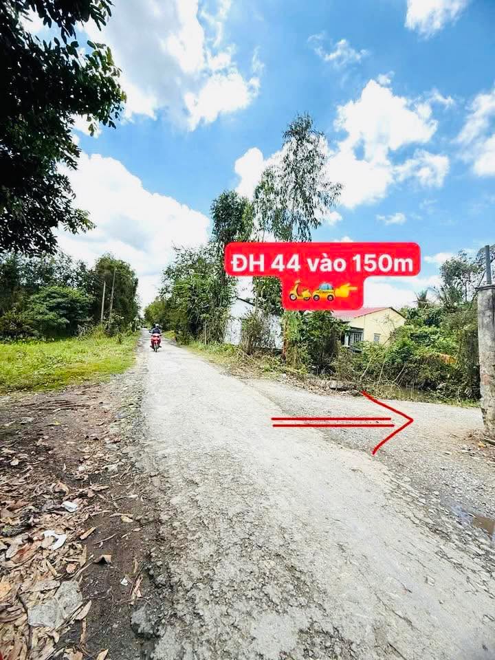 Bán Gấp 3 Nền Đất Vĩnh Long 900m² Giá Tốt - Đầu Tư Sinh Lời