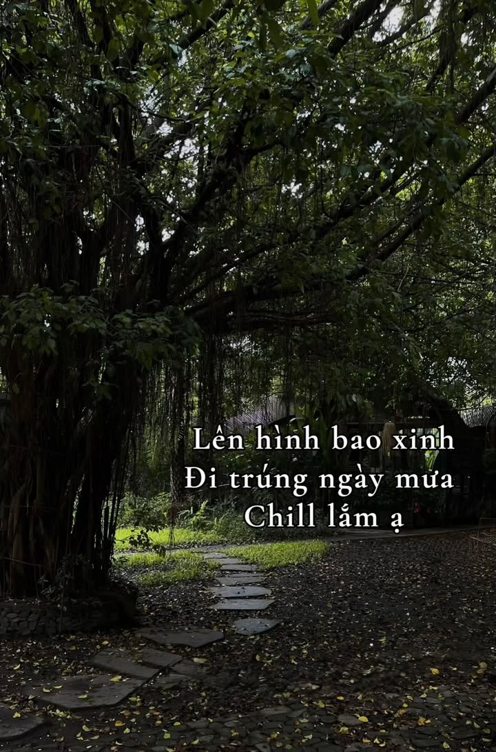 Kiot Thảo Điền Thủ Đức 17m² giá 15 triệu - Dòng tiền ổn định!