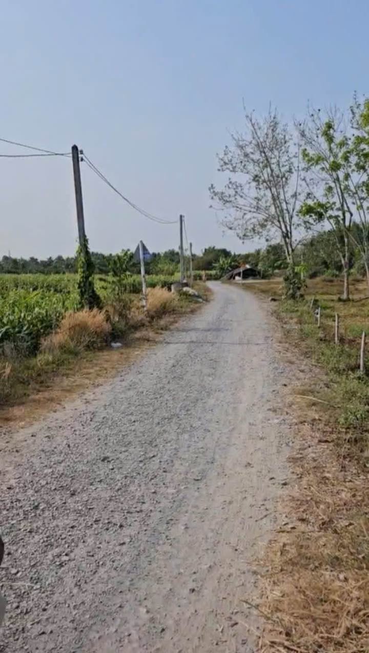 Đất Vườn 1870m² Sổ Hồng Thổ Cư - Xã Thạnh Phước, Gò Dầu, Tây Ninh - Giá 2.4 Tỷ