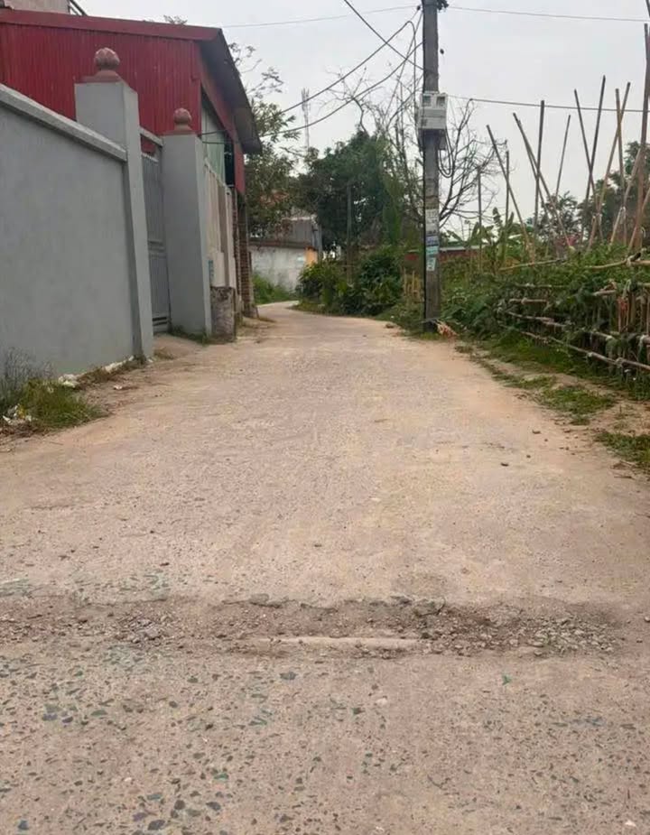 Đất Phù Lãng 113m² - Sổ Đỏ Chính Chủ, Gần KCN Quế Võ 3