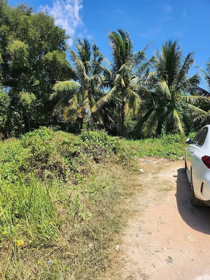 Bán Đất Phú Khương Bến Tre 81m² - Sổ Đỏ Sẵn Sàng, Giá 750 Triệu