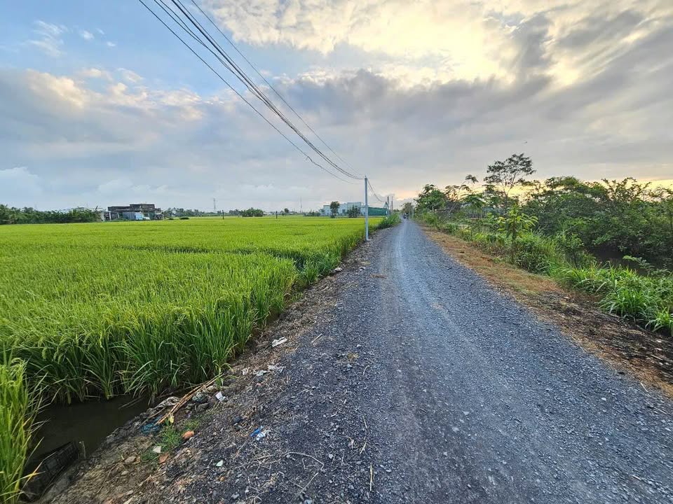 Bán đất vườn Gò Công Tây 2.100m² giá 900 triệu - Sổ đỏ chính chủ