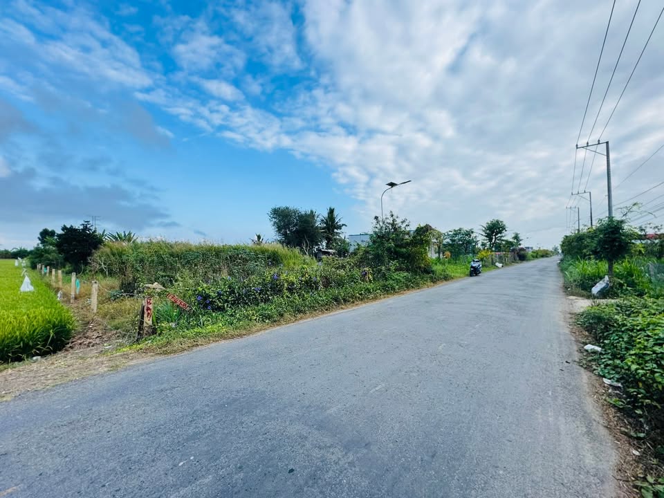 Đất vườn Bình Tân 2281m² mặt tiền HL19 - Đầu tư dài hạn!