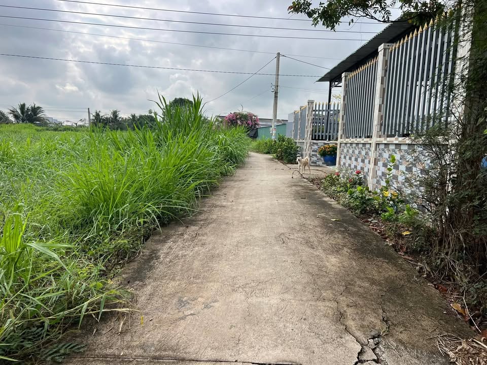 Đất Vườn 7123m² Tân Long Hòa, Gò Công - Giá Đầu Tư 800 Triệu