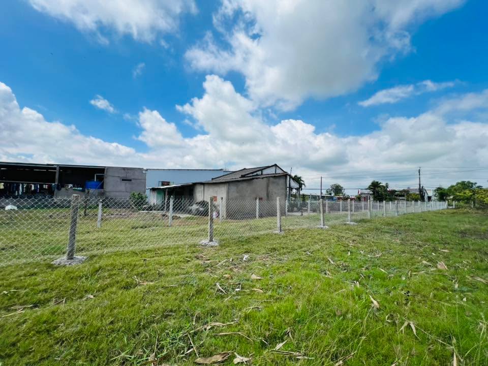 Đất Nền Mặt Tiền Tỉnh Lộ 877, Tiền Giang - 540m² Sổ Hồng Sẵn