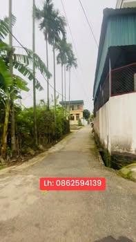 Bán đất Tứ Kỳ, Hải Dương 70m² - Sẵn sàng xây nhà, dân cư đông đúc