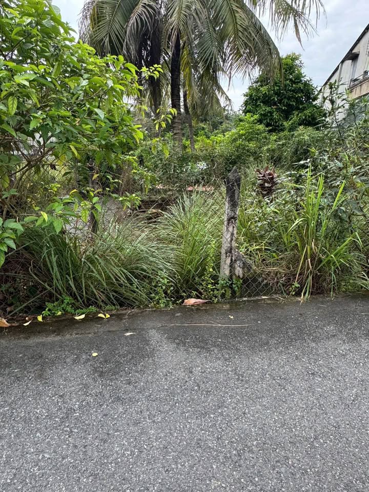 Đất mặt tiền DX19 Bàu Bàng 260m² - Tiềm năng tăng giá vượt trội!