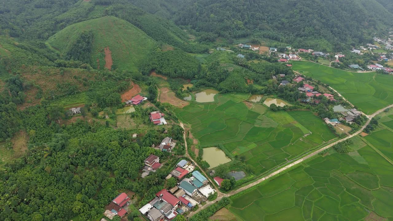 Đất Yên Lập, Phú Thọ 1300m² - Sổ đỏ, Giá chỉ 2xx Triệu - Đầu tư sinh lời!