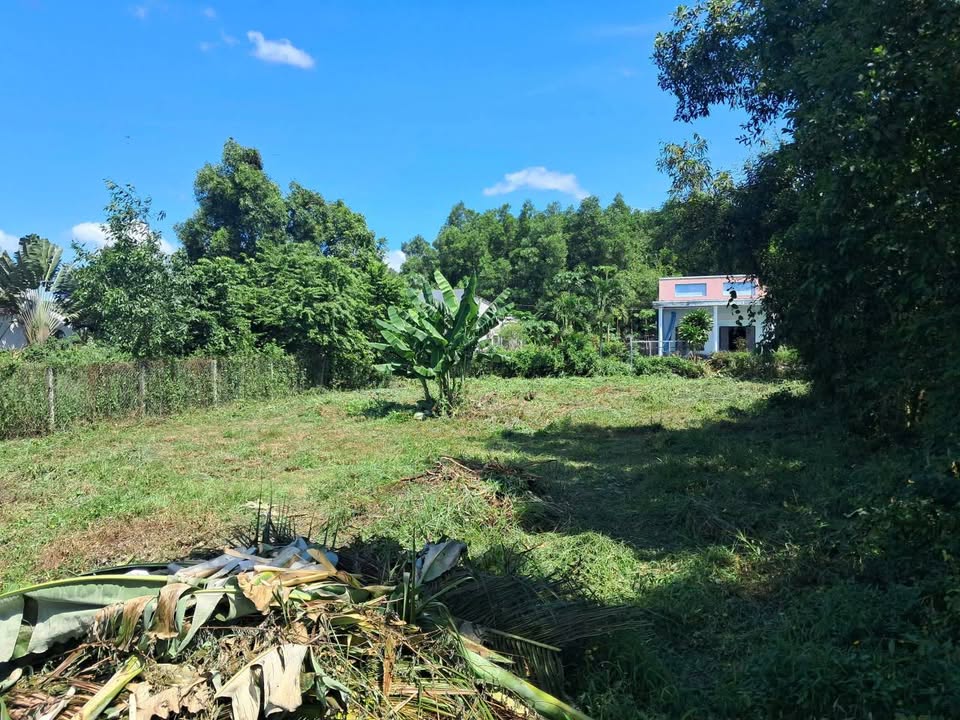 Đất nền Đất Đỏ 500m² giá 3.5 tỷ - Sổ đỏ chính chủ