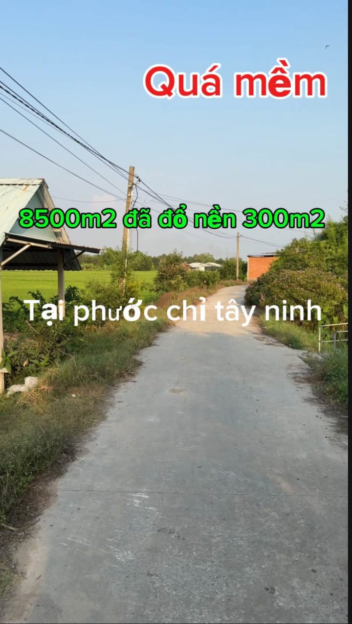 Đất nền Đức Hòa Long An 8500m² - Tiềm năng tăng giá vượt trội!
