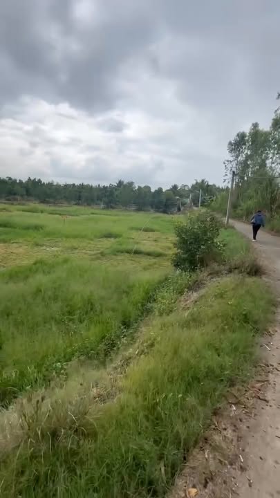 Bán Đất Mặt Tiền Xe Hơi Xã Tân Phú, Cai Lậy - 400m² - 500 Triệu/Nền