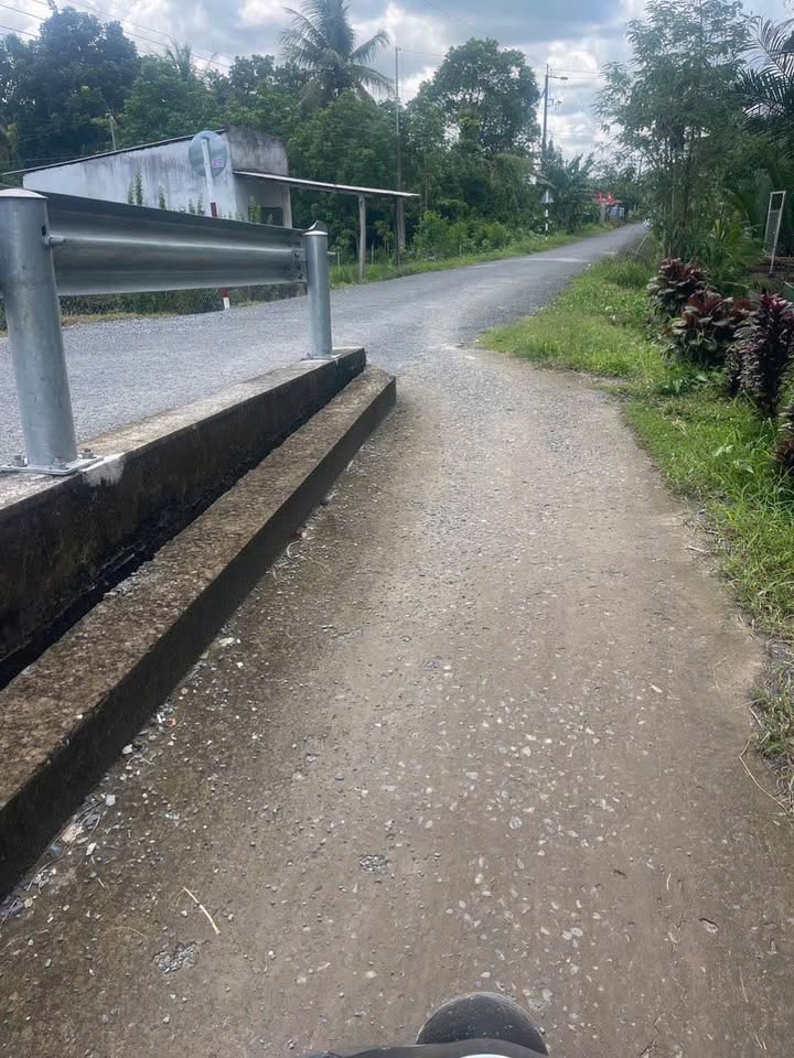 Đất Vườn Mỹ Thạnh Trung 3000m² 600 Triệu - Đầu tư dài hạn!