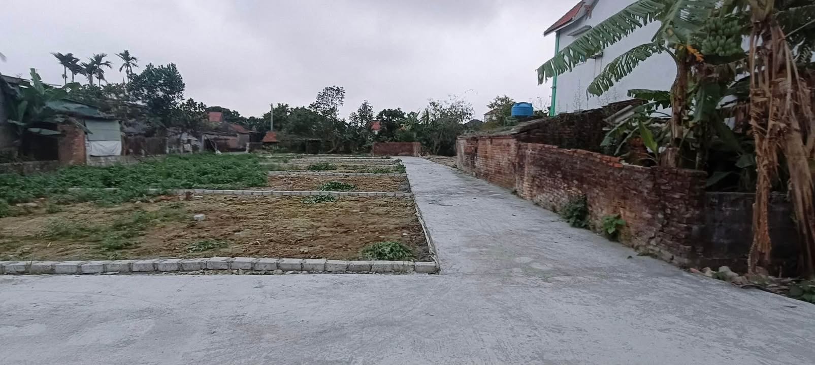 Đất nền Thụy Bình Thái Thụy 70m² giá 300 triệu - Sổ đỏ chính chủ