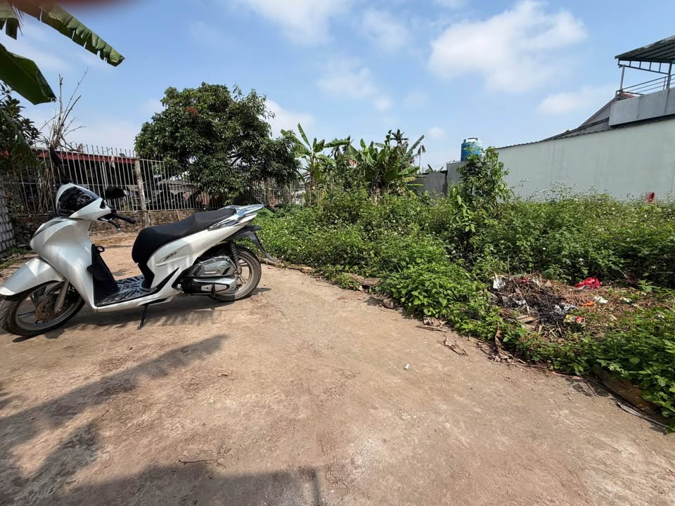 Đất nền góc Trần Lãm, Thái Bình - 65.4m² - Ngõ ô tô