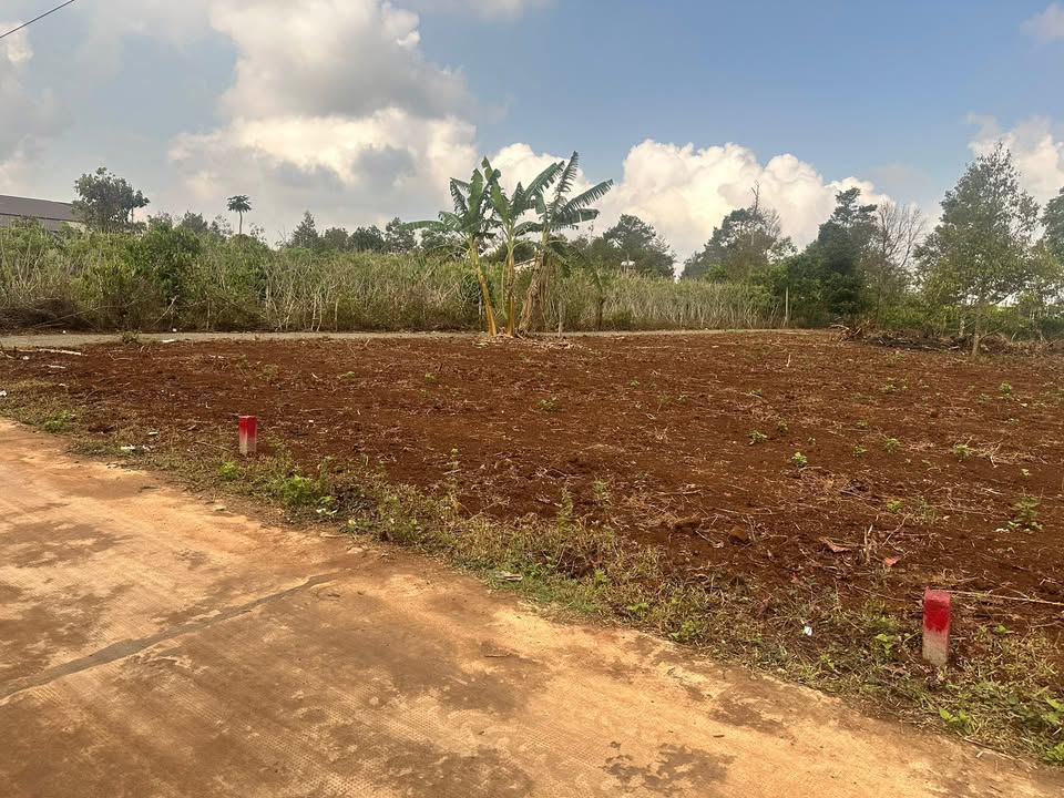 Đất Nền Làng Brong, Pleiku 140m² - Sổ Thổ Cư, Giá Tốt 2 Tỷ