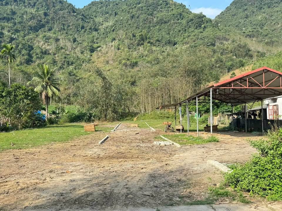 Đất nền TL316 Tân Lập 256m² giá 500 triệu - Sổ đỏ chính chủ