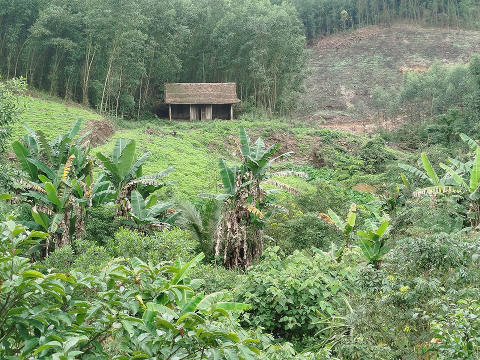 Bán đất trang trại 40.000m² tại Phổ Yên, Thái Nguyên - Sổ đỏ sẵn sàng