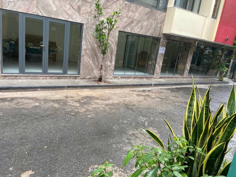 Mặt Bằng Kinh Doanh Hẻm Cộng Hòa Tân Bình - Sẵn Sàng Hoạt Động