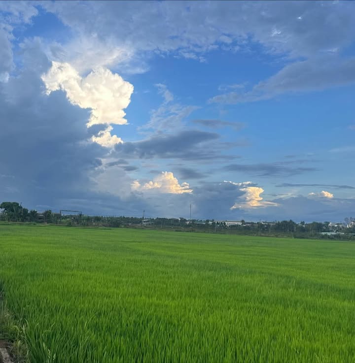 Bán Gấp 7200m² Đất Ruộng Ea Huar, Buôn Đôn - Giá F0 Chỉ 100 Triệu