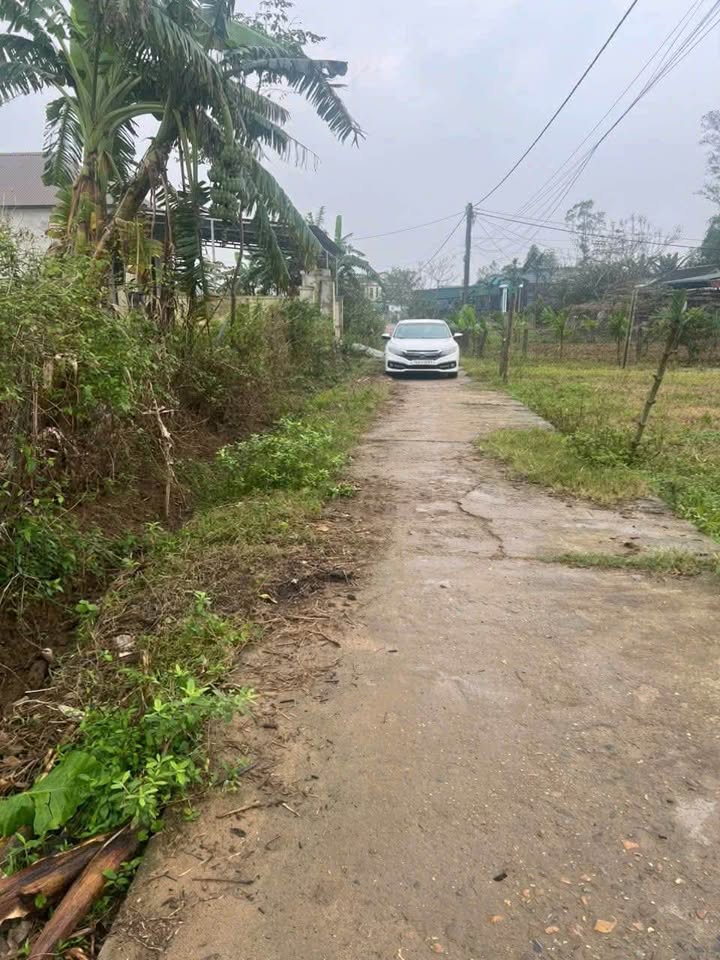 Đất nền Triệu Độ 250m² Triệu Phong - Sổ đỏ chính chủ!