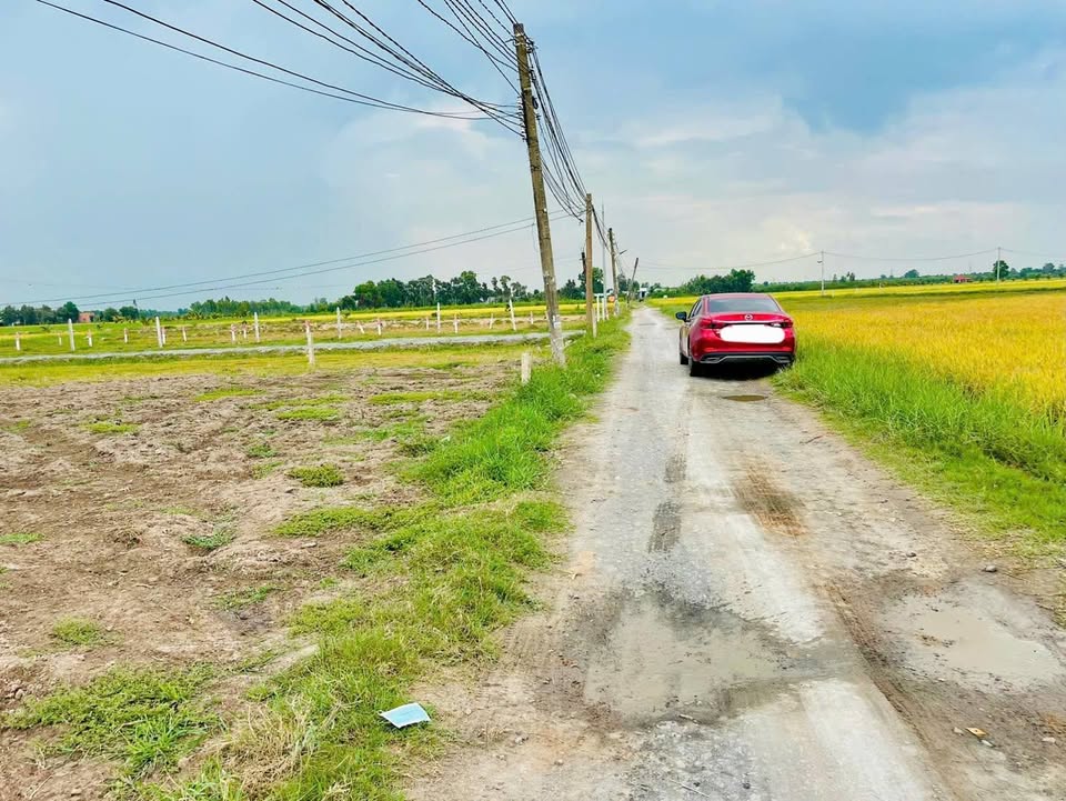 Đất nền Bình Hòa Bắc, Đức Huệ 210m² - Sổ đỏ chính chủ