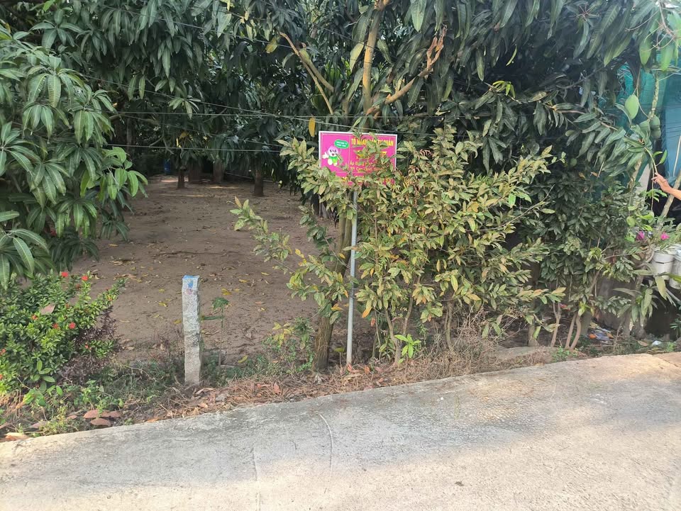 Bán Nền 150m² Đường Ven Sông Cao Lãnh - Sổ Hồng Sẵn Sàng