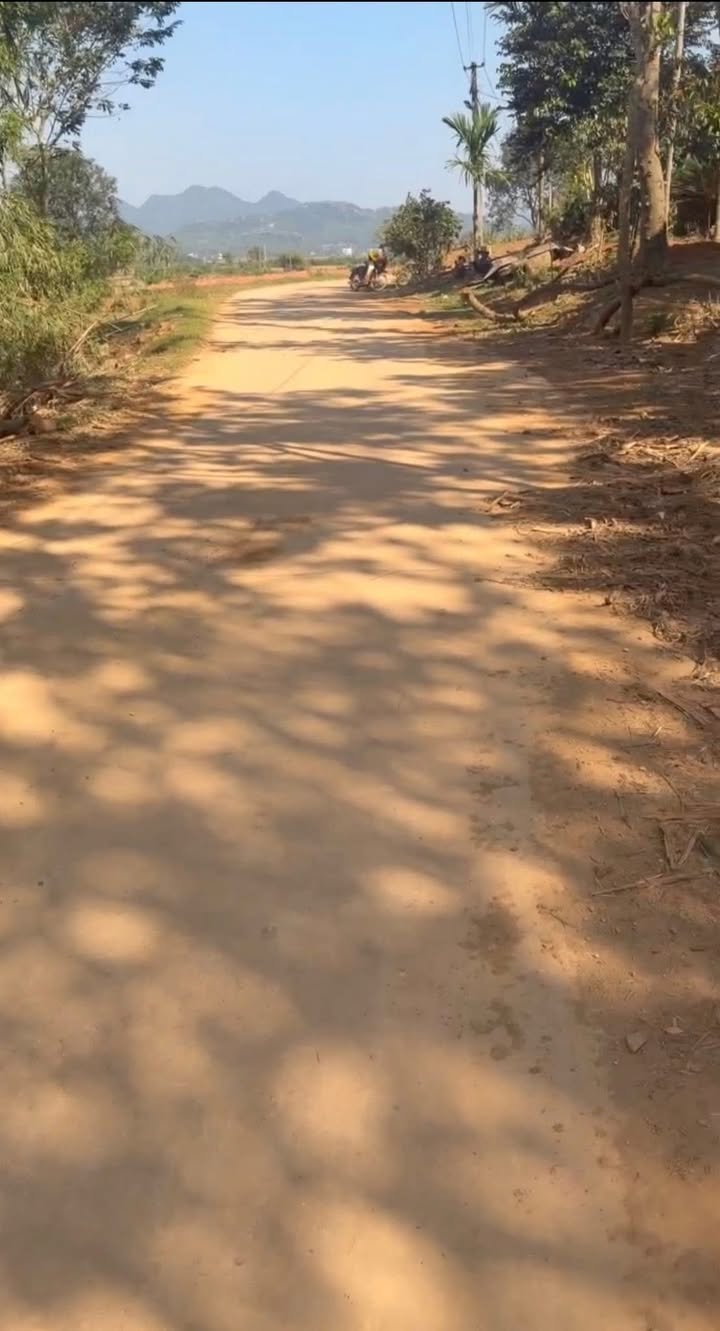 Đất nền Thôn Cát Thành Thành Tân 1.100m² - Tiềm năng tăng giá