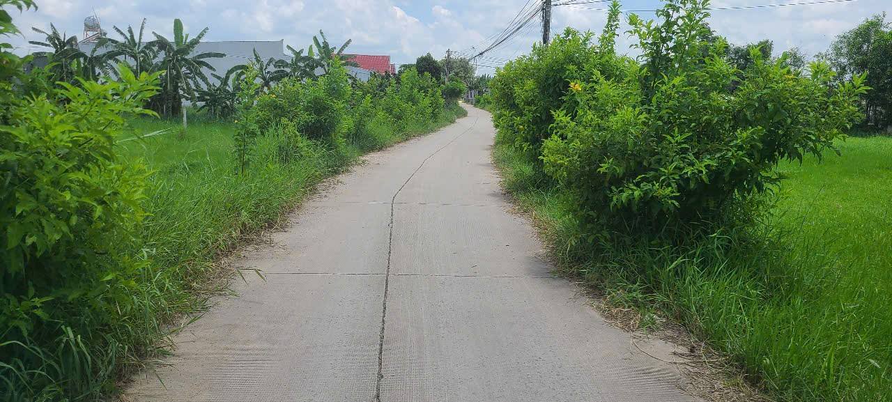 Đất Vườn Long An 6000m² Mặt Tiền Bo Kênh - Sẵn Sàng Đầu Tư