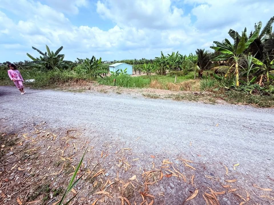 Đất nền 188m² mặt tiền đường 12m, Châu Thành, Long An - Sổ sẵn, Giá đầu tư 3.2 tỷ