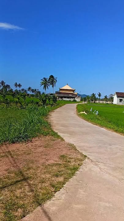 Bán đất Hoài Nhơn 130m² nở hậu - Sổ đỏ sẵn sàng