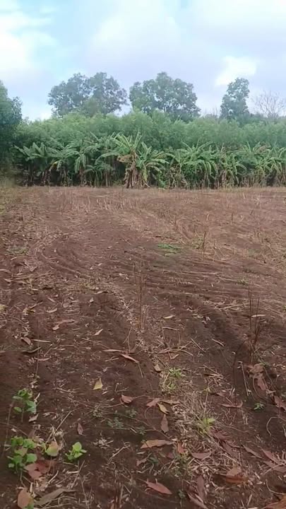 Bán Đất Vườn Châu Đức 3300m² - Sổ Đỏ Rõ Ràng, Giá Đầu Tư 1.15 Tỷ