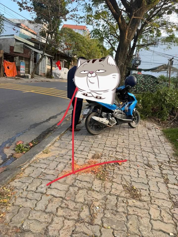 Bán Đất Nền Mặt Tiền Tôn Đản Nối Dài, Điện Bàn - 80m², 4.05 Tỷ, Kinh Doanh Đa Ngành